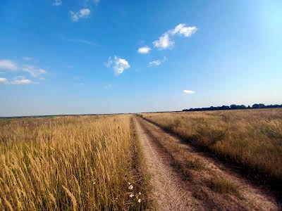 участок по адресу Село Щасливе