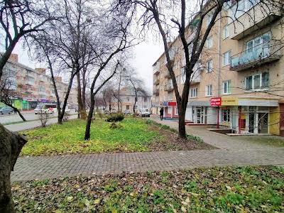 комерційна за адресою Степана Бандери вул., 33а