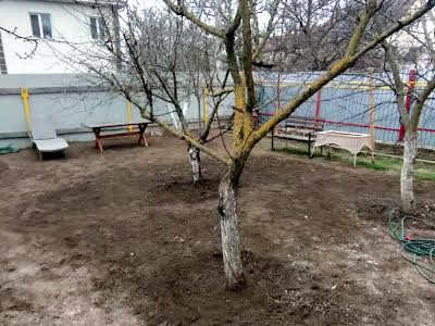 дом по адресу 14 лінія