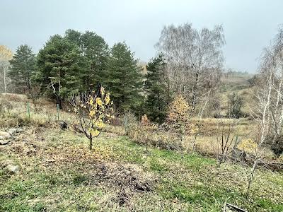 дом по адресу СТ Південне