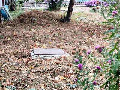 дом по адресу пгт. Высокий, Зеленогайська, 40