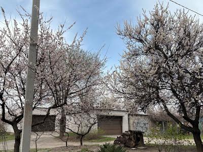 квартира по адресу Семафорная ул., 3