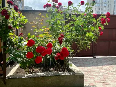 будинок за адресою Олексія Вадатурського вул. (Маршала Малиновського)