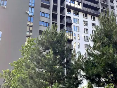 квартира по адресу Панорамная ул., 2