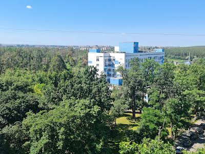 квартира по адресу Михаила Котельникова ул., 80