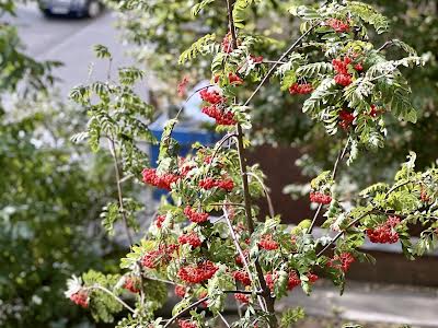 квартира по адресу Ереванская ул., 3