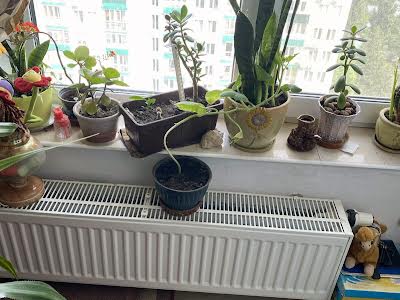 квартира по адресу Клавдиевская ул., 40-Д