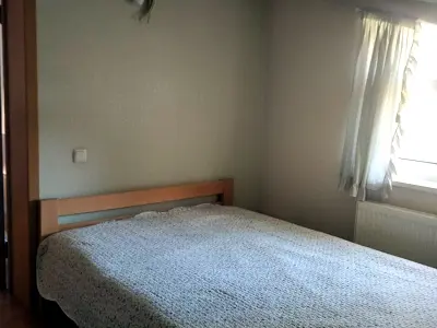 дом по адресу Александровская ул.
