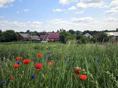 будинок за адресою Січових стрільців