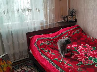 дом по адресу Антона Вусика