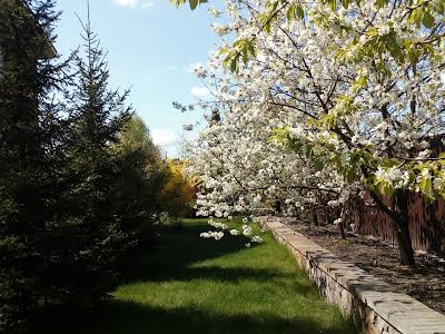 будинок за адресою Нахімова