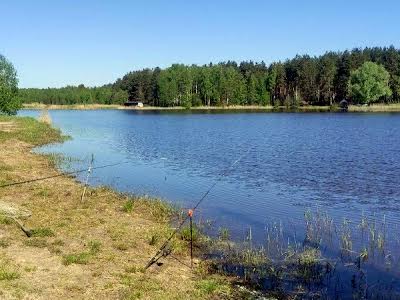 участок по адресу с. Микуличи, 