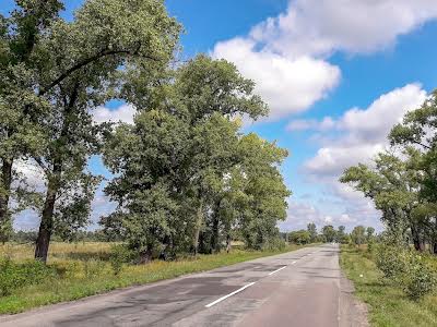 участок по адресу Окружна, 48