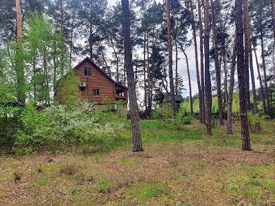 будинок за адресою с. Воропаїв, Деснянська, 84