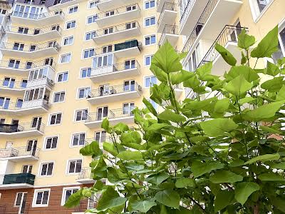 коммерческая по адресу Люстдорфская дорога ул., 100в