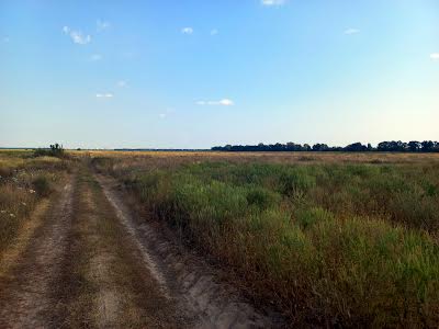 участок по адресу Село Щасливе