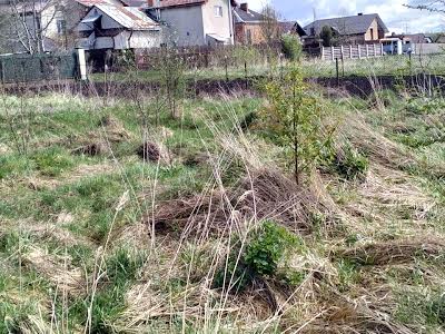 ділянка за адресою с. Малечковичі, Острівська