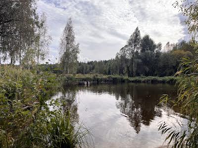 будинок за адресою с. Миколаївка, Лісова Поляна