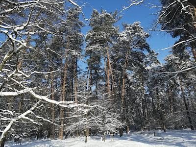 квартира по адресу Клавдиевская ул., 40Е