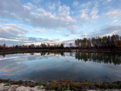 дом по адресу с. Низшая Дубечня, Леніна