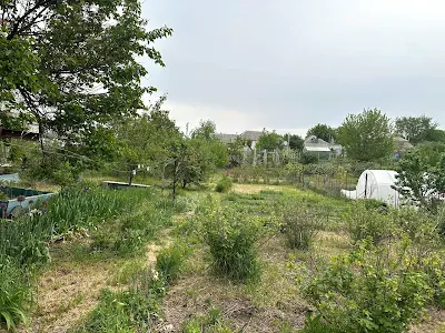 дом по адресу Шкільна