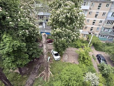 квартира по адресу Ивана и Юрия Лип ул. (Гайдара), 10
