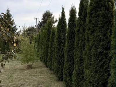 будинок за адресою Львівська