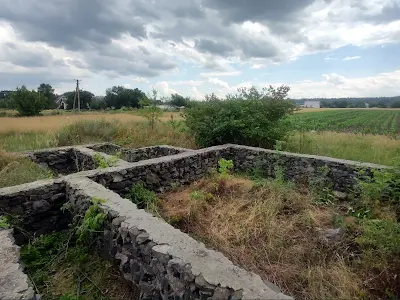 участок по адресу с. Вергуны, Вишнева
