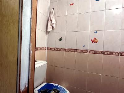 будинок за адресою СК Днестровець 1, 1