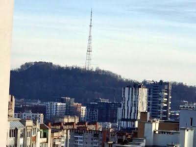 квартира за адресою Під Голоском вул., 16