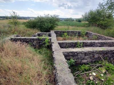 участок по адресу с. Вергуны, Вишнева