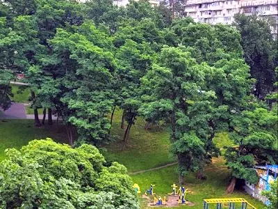 квартира по адресу Николая Ушакова ул., 6