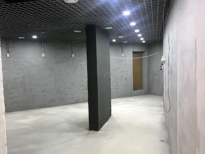 комерційна за адресою Степана Рудницького вул. (Академіка Вільямса), 5-А