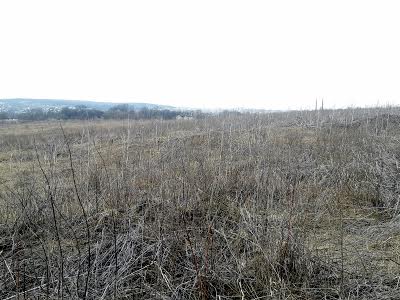 участок по адресу Микулинецкая ул.