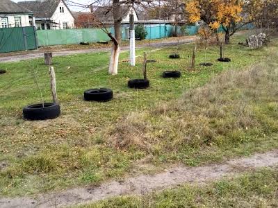 ділянка за адресою Набережна, 12а