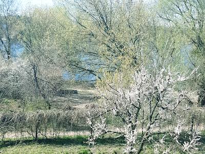 дом по адресу Русановские Сады ул.