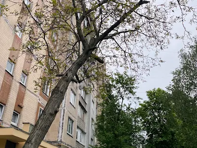 квартира за адресою Чистяківська вул., 7