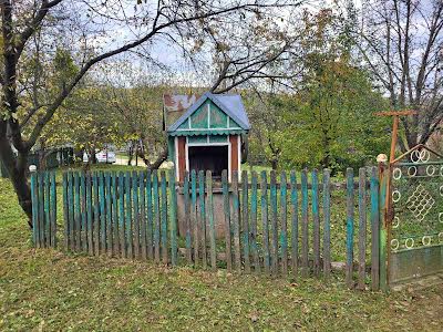дом по адресу Лісна, 55