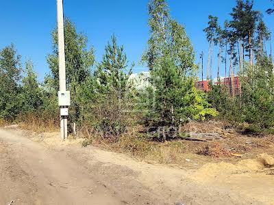 ділянка за адресою незалежності