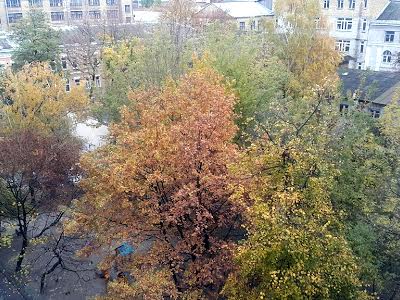квартира по адресу Панаса Мирного ул., 11