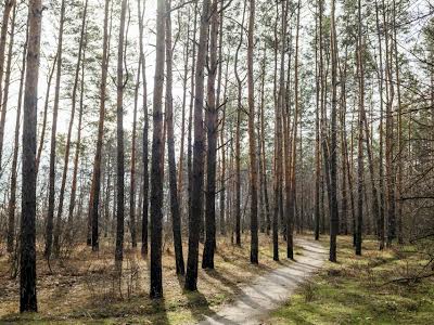 будинок за адресою с. Орлівщина, СТ Сузір'я