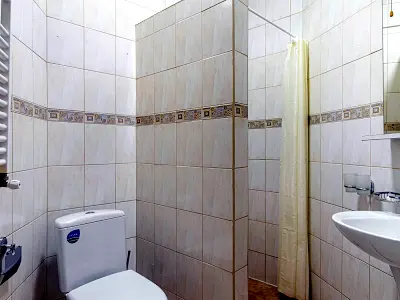комерційна за адресою Роксоляни, 24