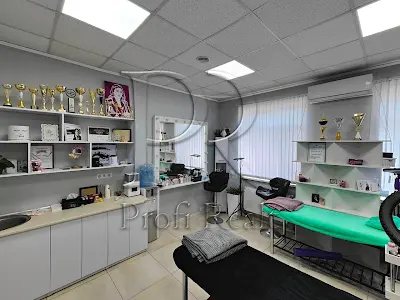 комерційна за адресою Центральна вул. (Чапаєва), 6/1