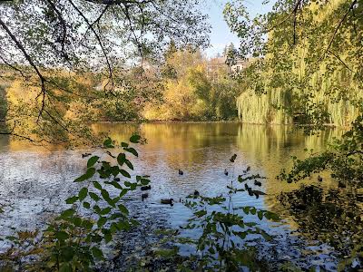 квартира за адресою Науки просп., 98