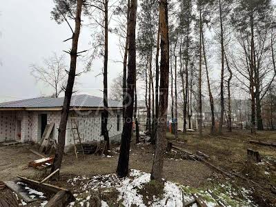 будинок за адресою с. Ходосівка, Квітнева вул.