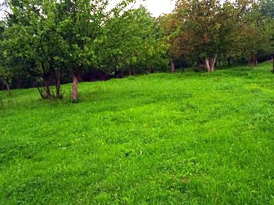 будинок за адресою Петрунівка, 1