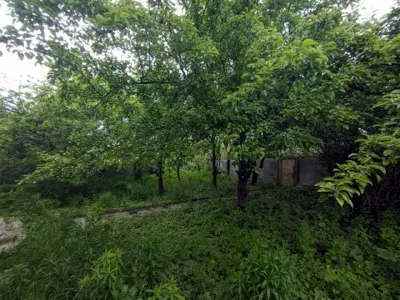 дом по адресу Визволителів ул. (Партизанська)