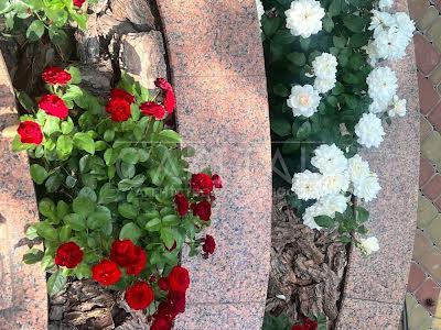 дом по адресу Центральная ул.