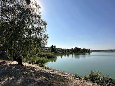 дом по адресу с. Шпитьки, Дачна