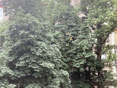 квартира по адресу Архитектора Городецкого ул., 12